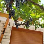 캠프장 Late Nature House Gjirokaster *