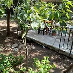 캠프장 Late Nature House Gjirokaster
