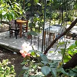 Kemp Late Nature House Gjirokastër
