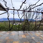 캠프장 Late Nature House Gjirokaster Gjirokastër
