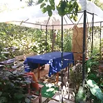 캠프장 Late Nature House Gjirokaster