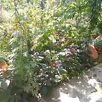 Late Nature House Gjirokaster *