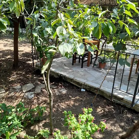 Campsite Late Nature House