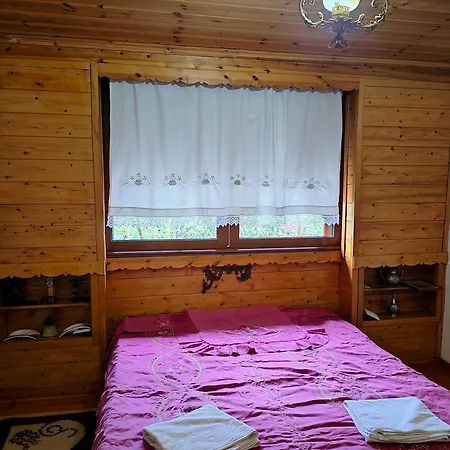 Campsite Late Nature House