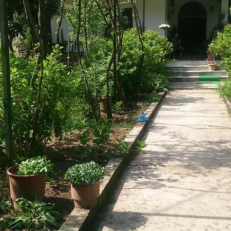 Late Kamp alanı Gjirokastër