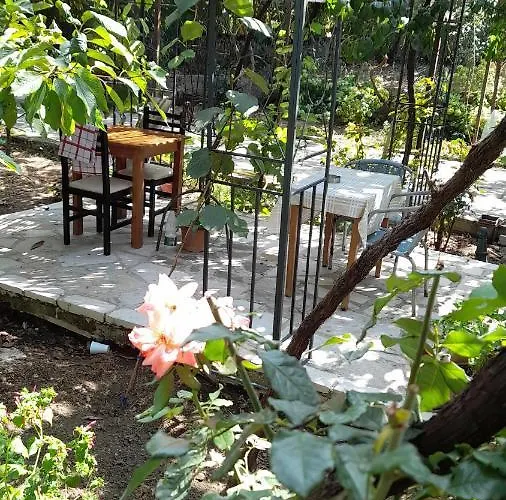 Kamp alanı Late Gjirokastër