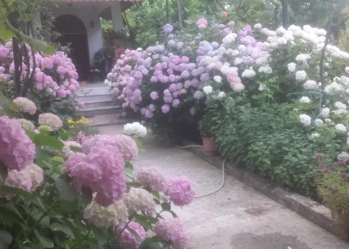 Late Kamp alanı Gjirokastër