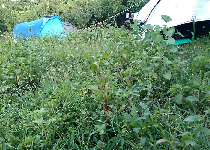 Late Kamp alanı Gjirokastër
