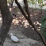 Camping Late Nature House Gjirokaster *