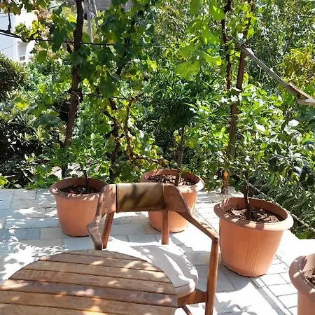 Late Nature House