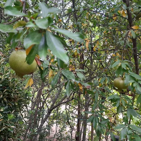 Parque de Campismo Late Nature House