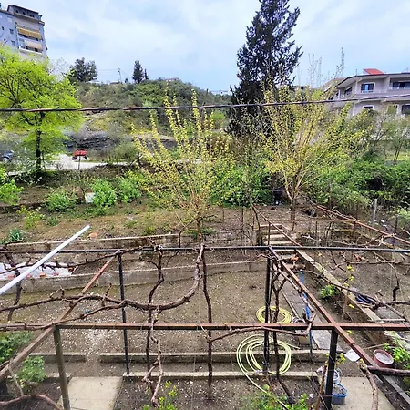 Late Nature House * Gjirokastër