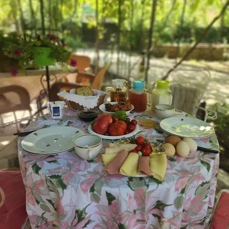 Late Nature House * Gjirokastër