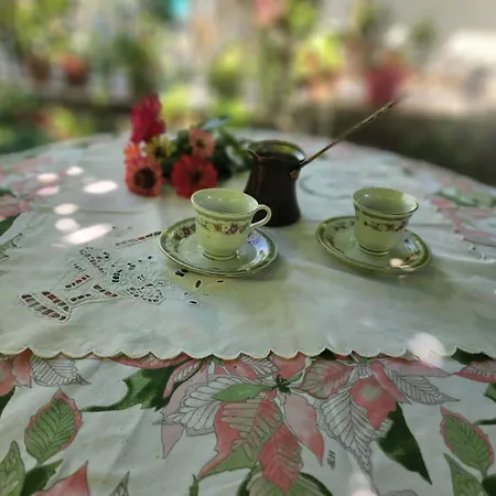 Late Nature House * Gjirokastër