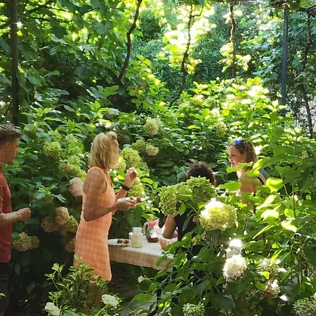 Kemp Late Nature House *