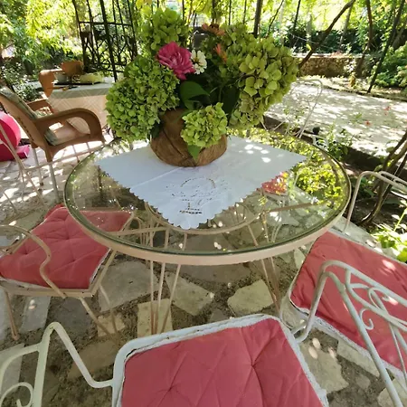 Kemp Late Nature House Gjirokastër