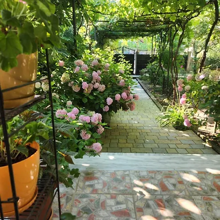 Late Nature House Kemp
