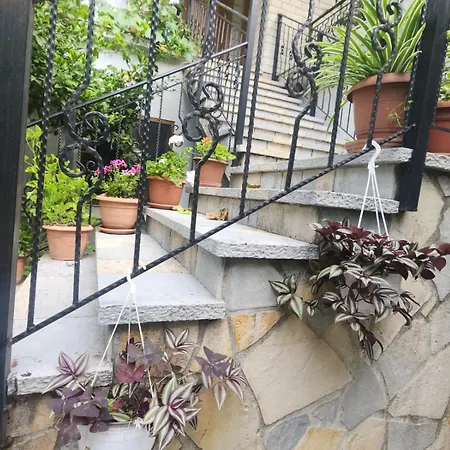 Late Nature House * Gjirokastër