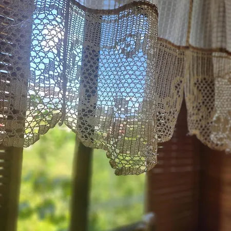 Kemp Late Nature House *