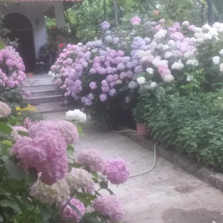 Late Campingplads Gjirokastër