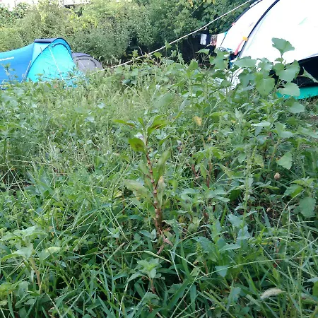 Late Campingplads Gjirokastër